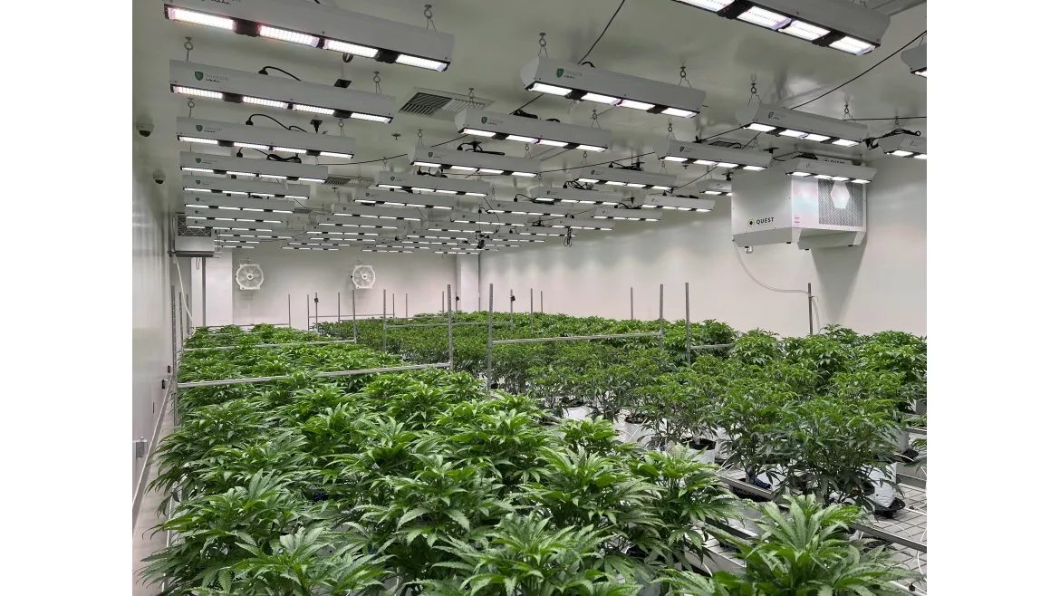 Cannabis grow room &mdash; environmental control across flower rooms, veg rooms, drying rooms